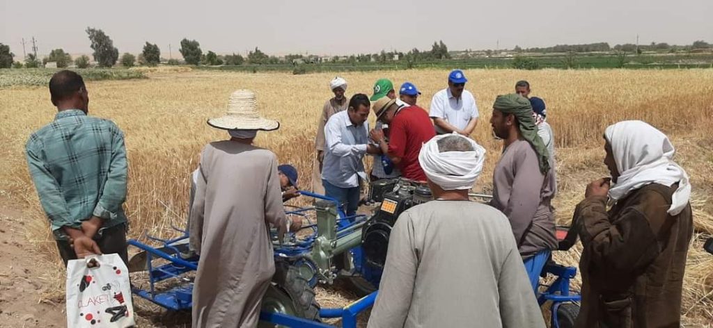 فساد توزيع القروض الزراعية في الوادي الجديد: من يسرق حلم الفلاح