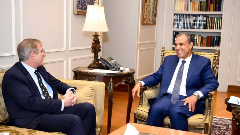 وزير الخارجية: تعزيز التعاون بين مصر وبريطانيا في جميع المجالات