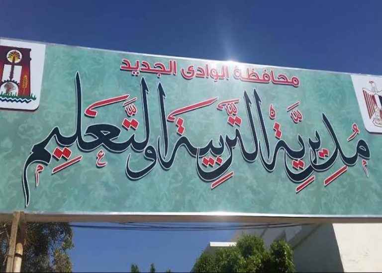 الفساد في قطاع التعليم بمحافظة الوادي الجديد: تلاعب في التعيينات