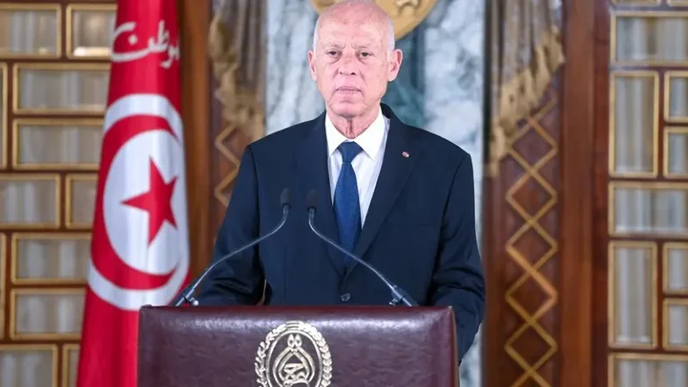 قيس سعيّد يجري تغييراً شاملاً للولاة قبل تفويض صلاحياته.