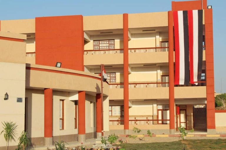 فساد شركات المقاولات في بناء المدارس بالوادي الجديد: هل ستنهار المدارس على الطلاب