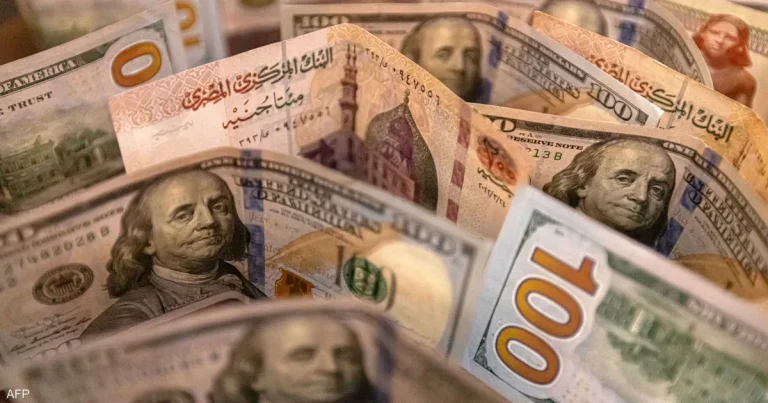 الدولار يواصل الارتفاع أمام الجنيه المصري ويصل إلى 49.75 جنيه