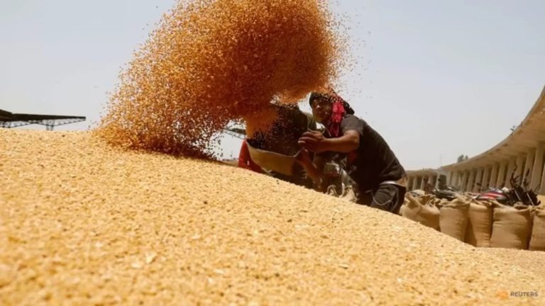 مصر على حافة أزمة غذائية في إمدادات القمح وسط ارتفاع جنوني للأسعار