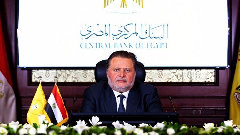 حسن عبدالله محافظ البنك المركزي المصري أمين الخزانة الساقط ومهندس انهيار الاقتصاد
