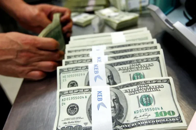 مصر..الدولار يواصل الصعود إلى مستوى 49 جنيها بعدد من البنوك