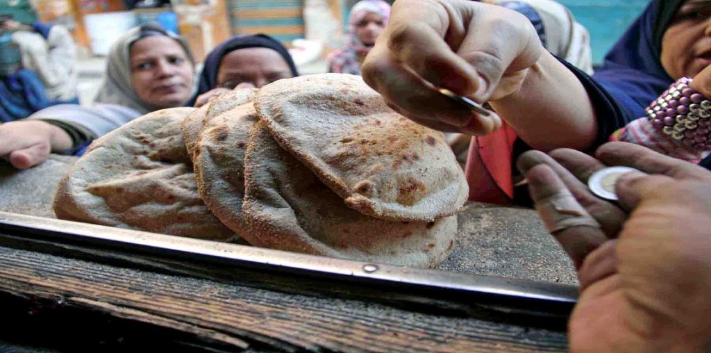 تجارب فاشلة وحكومة عاجزة: الذرة تهدد مستقبل الخبز المدعم في مصر