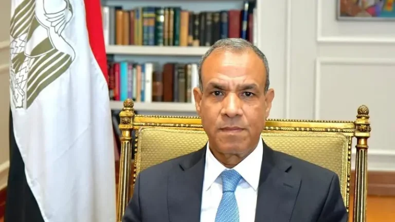 عبد العاطي: نقف بشكل كامل مع السوريين ودعم استقرار دولتهم