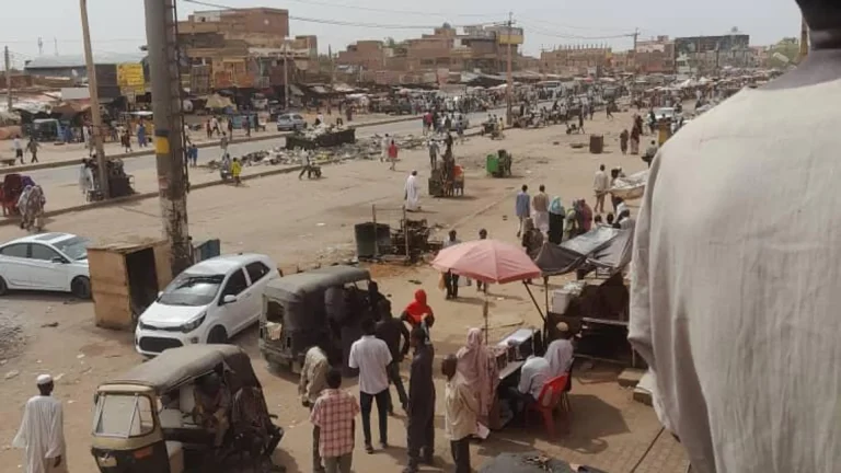 الولاية الشمالية في السودان تعلن خلوها من قوات الدعم السريع