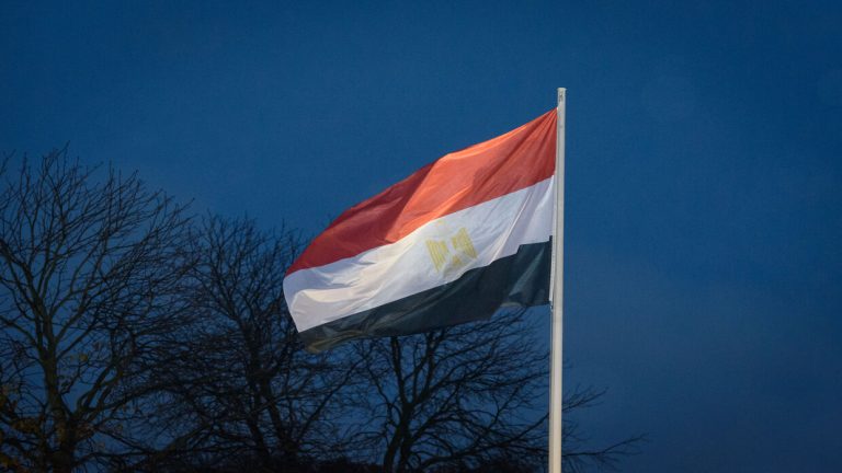 تعيين متحدث جديد باسم الرئاسة المصرية..مَن هو؟