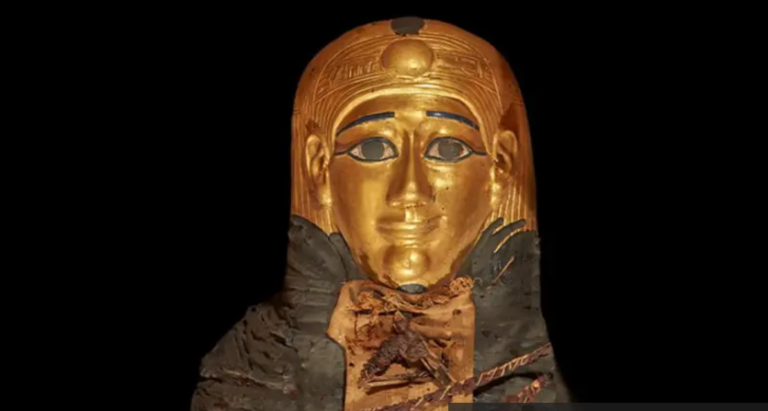 د. مختار الكسباني لـ”أخبار الغد”: العثور على مومياء بـ”قناع ذهبي” في إدفو إنجاز تاريخي