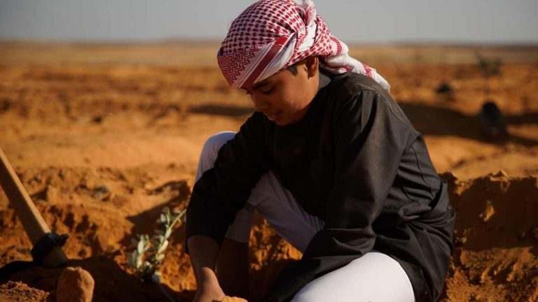 الأردن… “العربية لحماية الطبيعة” تزرع 550 شجرة زيتون تكريما للشهيد ماهر الجازي