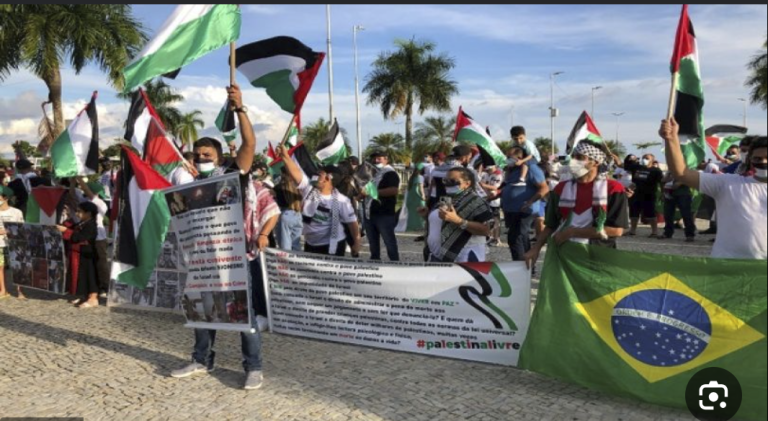 البرازيل…متضامنون يرفعون العلم الفلسطيني على “أقواس لابا” قبيل “قمة العشرين”
