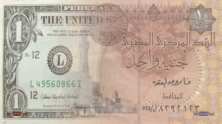 الحكومة المصرية تبيع أراضي الوطن لشركات أجنبية وتهدر الثروات على حساب الشعب