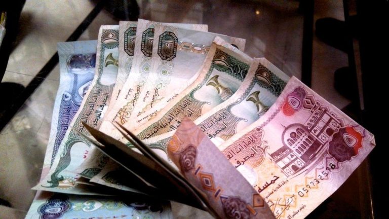 فضيحة القروض المذلة 500 مليون دولار من الإمارات و2 مليار يورو لزيادة الديون