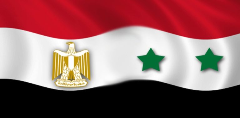 الوطن السورية: زيارة وزير الخارجية المصري إلى دمشق تمهّد لعلاقات جديدة