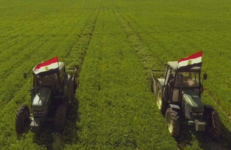 مصر تؤمن صفقة قمح كبيرة من روسيا