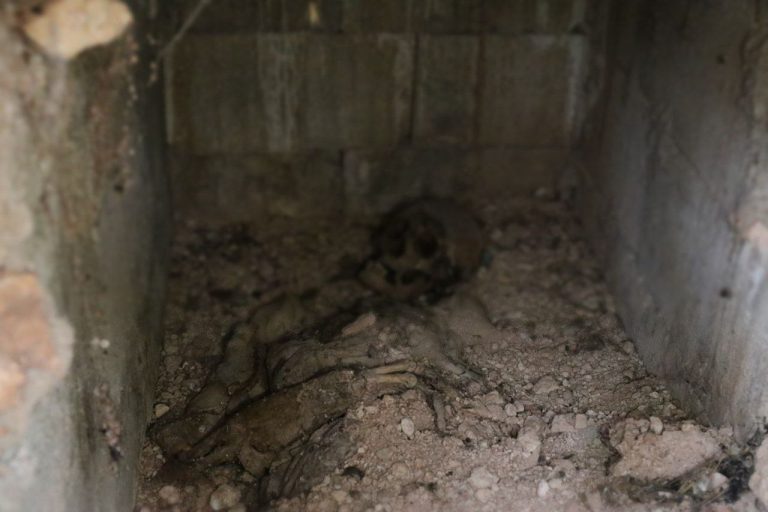 العثور على مقبرة جماعية تضم مئات الجثث في مدينة حلب السورية