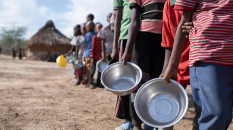 الجوع العالمي يتفاقم: 343 مليون شخص يواجهون أزمة غذائية كارثية في 2024