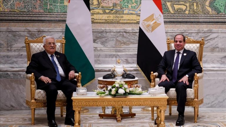 السيسي وعباس يبحثان جهود وقف إطلاق النار في غزة والانسحاب الإسرائيلي في قمة الدول الثماني النامية