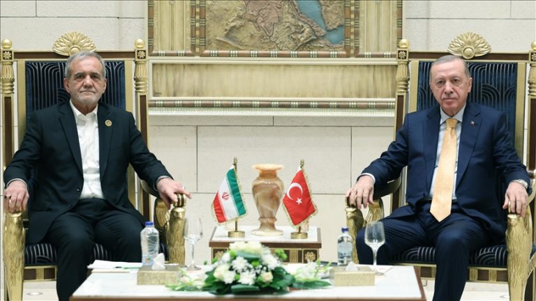 أردوغان وبزشكيان يبحثان تعزيز التعاون خلال قمة الدول الإسلامية النامية في القاهرة