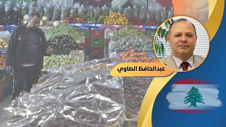 عبدالحافظ الصاوي يكتب: مستقبل اقتصاد لبنان بعد وقف الحرب مع الكيان الصهيوني