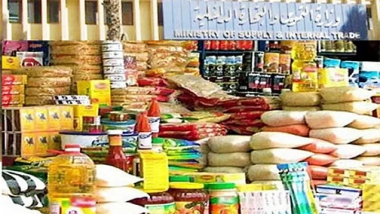 تفشي الأطعمة الفاسدة والسلع المغشوشة في الأسواق المصرية وسط غياب الرقابة الحكومية