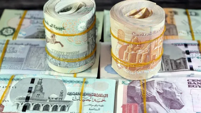 7000 جنيه للحد الأدنى للأجور يفاقم الأزمات الاقتصادية ويهدد الاستقرار المالي للمواطنين
