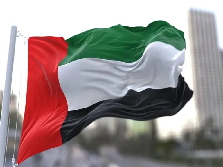دويلة الإمارات تُدرج 19 فردًا وكيانًا على قوائم الإرهاب!