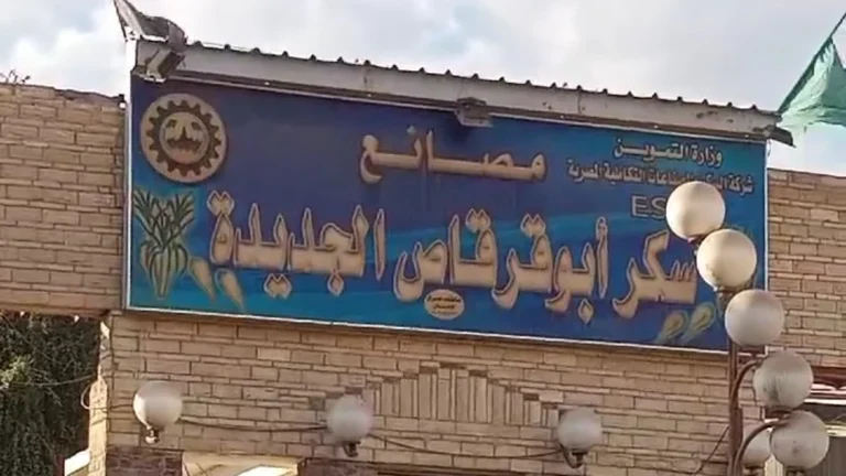 توقف مصنع أبو قرقاص للسكر يفاقم أزمة صناعة السكر في مصر للعام الثاني على التوالي