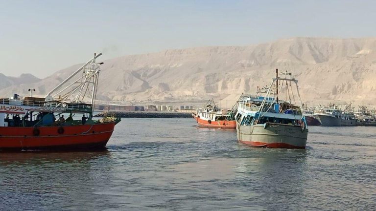 صيادو برنيس يستغيثون: قرار وقف الصيد يحكم علينا بالجوع والفقر والبطالة