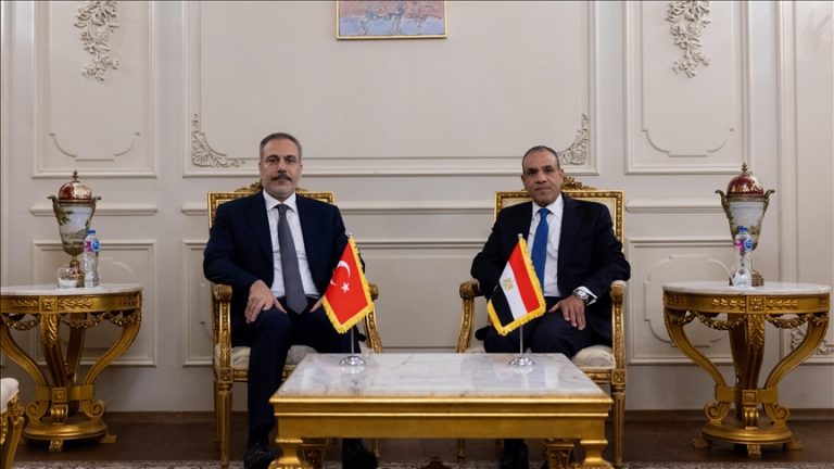 مصر ..وزير الخارجية يتوجه إلى تركيا في زيارة لبحث العلاقات الثنائية بين البلدين