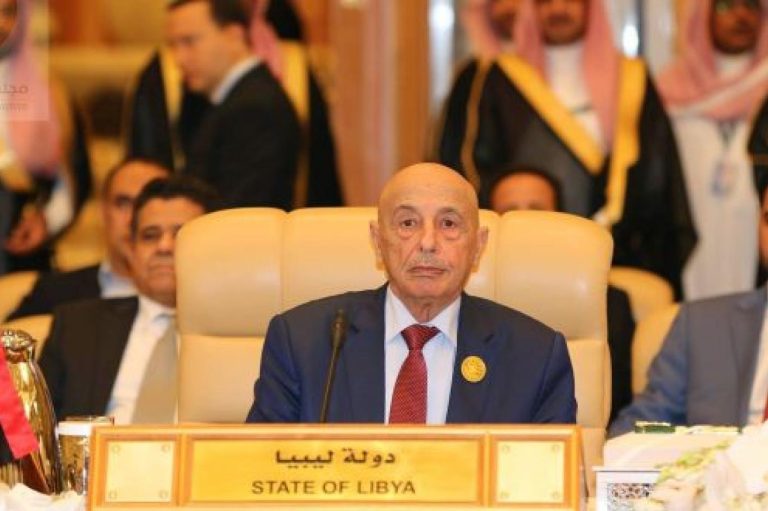 مصر تدعم الحلول السلمية للأزمة الليبية وتعزز الحوار بين الأطراف المتنازعة