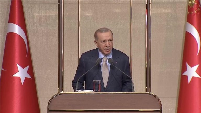 أردوغان: لن نسمح للصهاينة بتنفيذ عمليات جديدة في منطقتنا