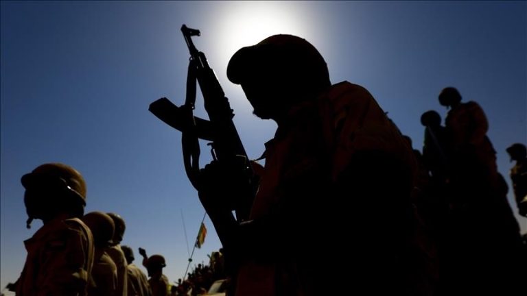 الحكومة السودانية تكشف عن تحرير 4 آلاف أسير من سجون قوات الدعم السريع وتدعو المجتمع الدولي للتحرك