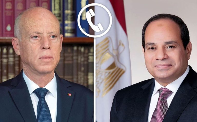 السيسي وقيس سعيد يؤكدان رفضهما المطلق لتهجير الفلسطينيين