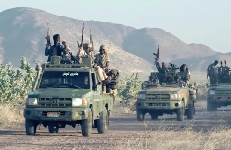 ميلشيات الدعم السريع يصفي 10 من الكوادر الطبية في ولاية شمال دارفور خلال يومين