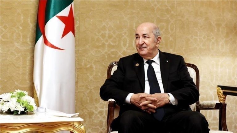 تبون يستقبل رسالة من السيسي خلال زيارة وزير الخارجية المصري