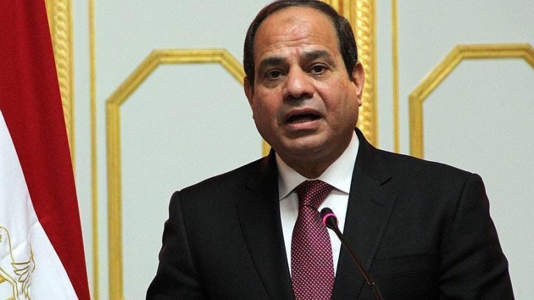 السيسي يدعو ترامب للعب دور حيوي في إحلال السلام العادل في الشرق الأوسط