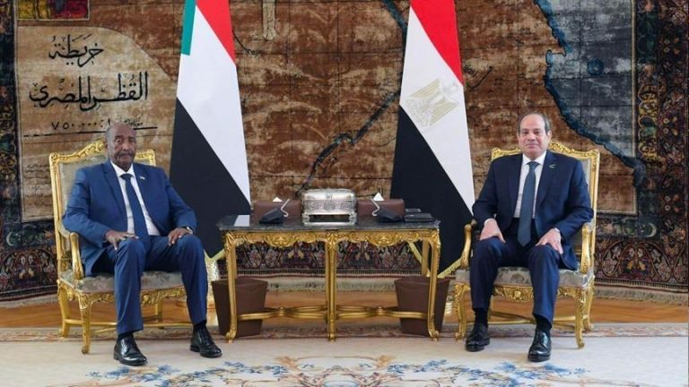 السيسي والبرهان يؤكدان رفضهما الإجراءات الأحادية بحوض النيل في جلسة مباحثات بالقاهرة