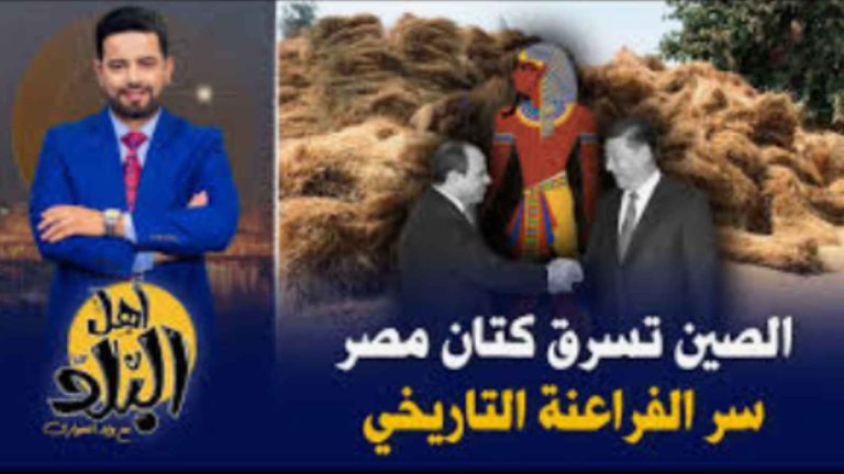 مصر تُهدر كنزًا زراعيًا تاريخيًا.. الكتان بين الإهمال والتصدير الخام