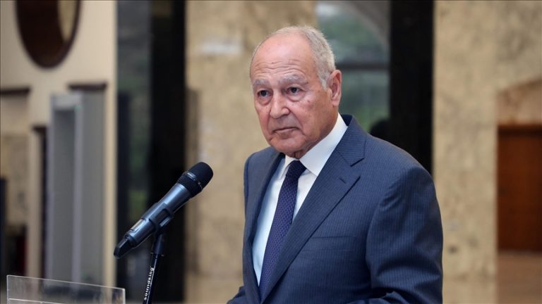 أبو الغيط: الفلسطينيون يواجهون واحدة من أبشع جرائم الإبادة في التاريخ.