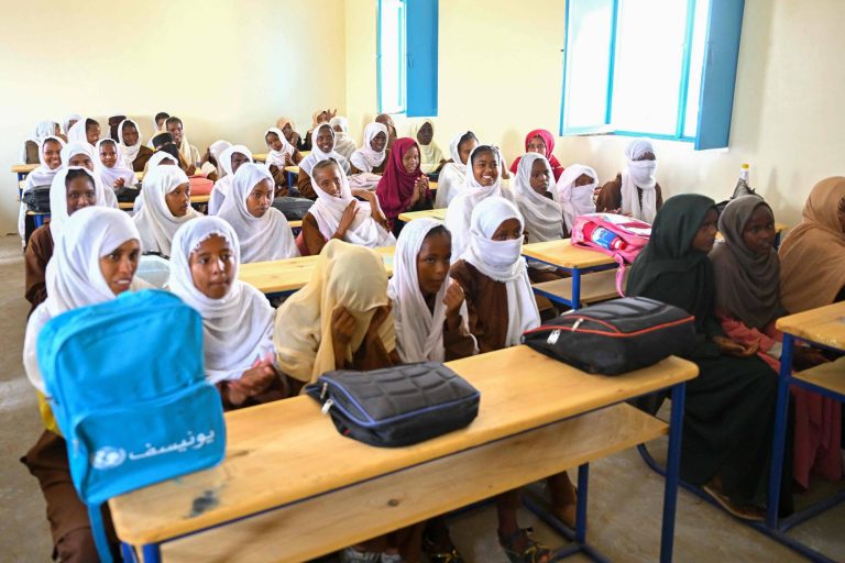 حاجة فضل تكتب: مشكلة التعليم في السودان بعد الحرب