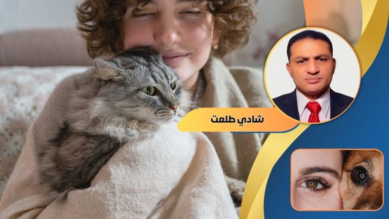 شادي طلعت يكتب: قراءة في شخصيات البشر من خلال تشابه الطباع مع الحيوانات