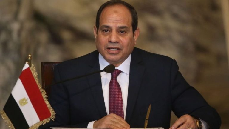 السيسي يدعو لتعزيز استثمارات القطاع الخاص في الزراعة ويستهدف استصلاح 800 ألف فدان جديدة