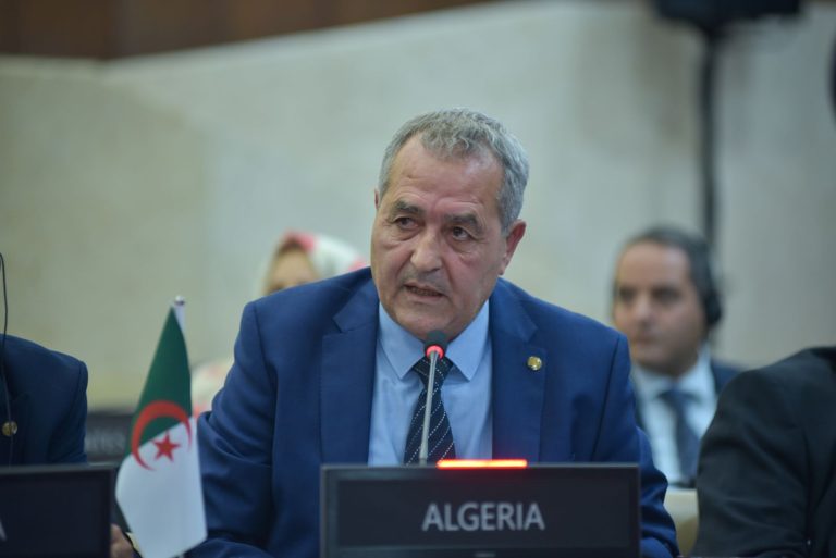 الجزائر ترد بقوة على “تهجم غير مبرر” لممثل السلطة الانقلابية في مالي خلال مؤتمر برلمانات التعاون الإسلامي