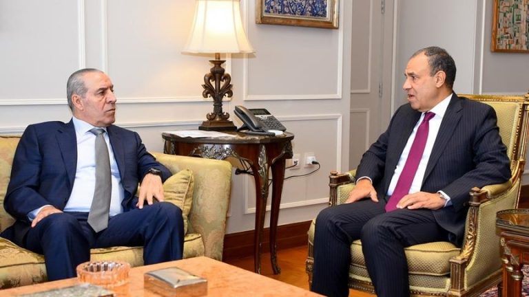 مصر تؤكد دعمها المستمر لاستئناف وقف إطلاق النار وتعزيز المساعدات الإنسانية في غزة