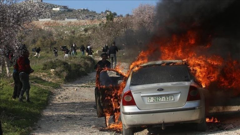 مستوطنون إسرائيليون يشعلون النيران في أراضٍ زراعية بنابلس ورام الله.