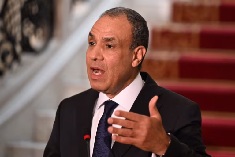 بدر عبد العاطي يكشف عن مصادر قلق مصر من الوضع في سوريا
