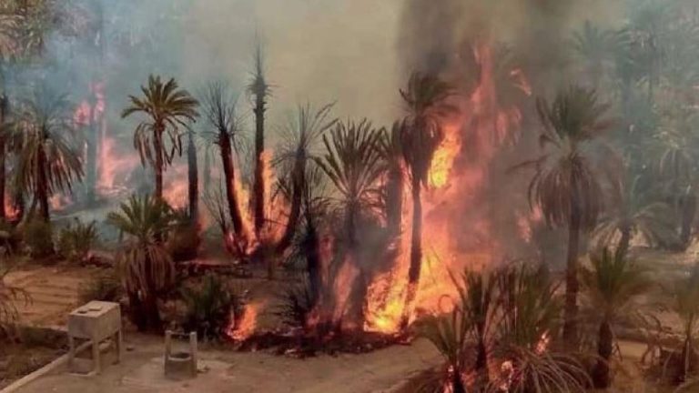 حرائق الواحات تُقرع ناقوس الخطر في المغرب