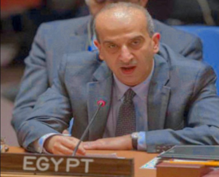 حزب الدستور يشيد بالدبلوماسية المصرية أمام الجمعية العامة للأمم المتحدة بشأن القضية الفلسطينية